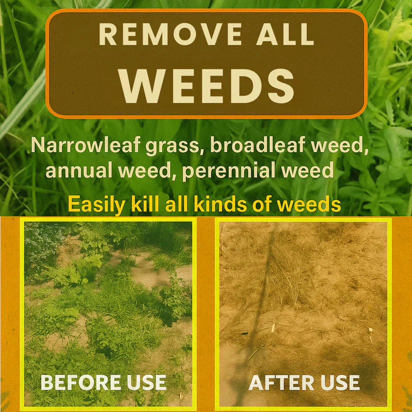 High Concentration Glufosinate Herbicide - Effective Weed Killer 🌾🌱 (Buy 1 Get 1 Free)