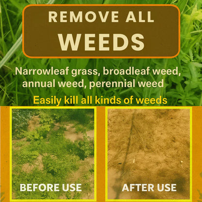 High Concentration Glufosinate Herbicide - Effective Weed Killer 🌾🌱 (Buy 1 Get 1 Free)