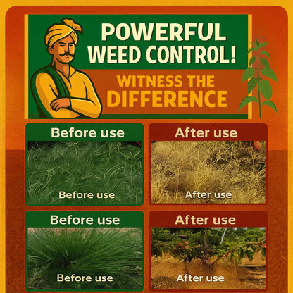 High Concentration Glufosinate Herbicide - Effective Weed Killer 🌾🌱 (Buy 1 Get 1 Free)