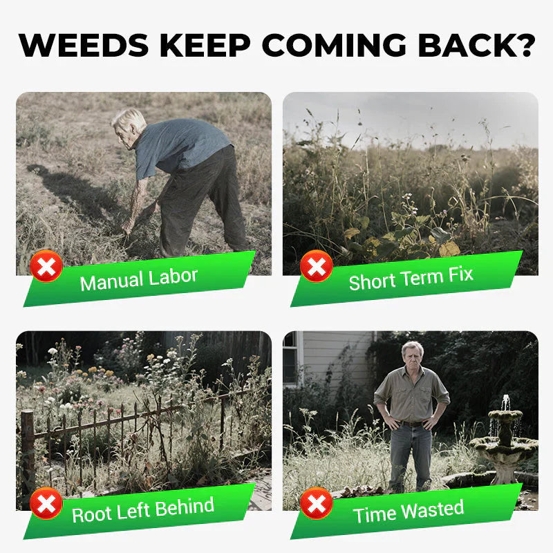 WeedErase Glufosinate Granules | 🔥BUY 1 GET 1 FREE🔥